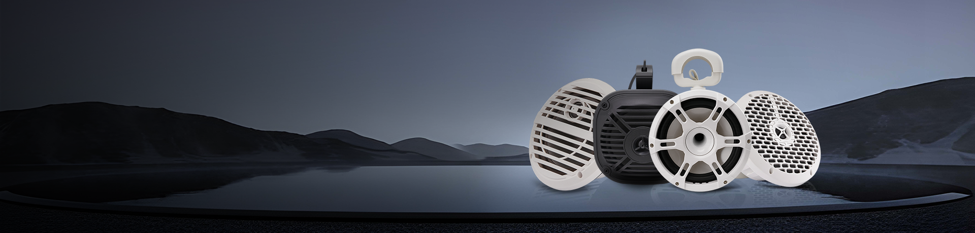 Marine Speaker