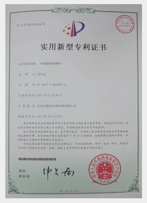 patent