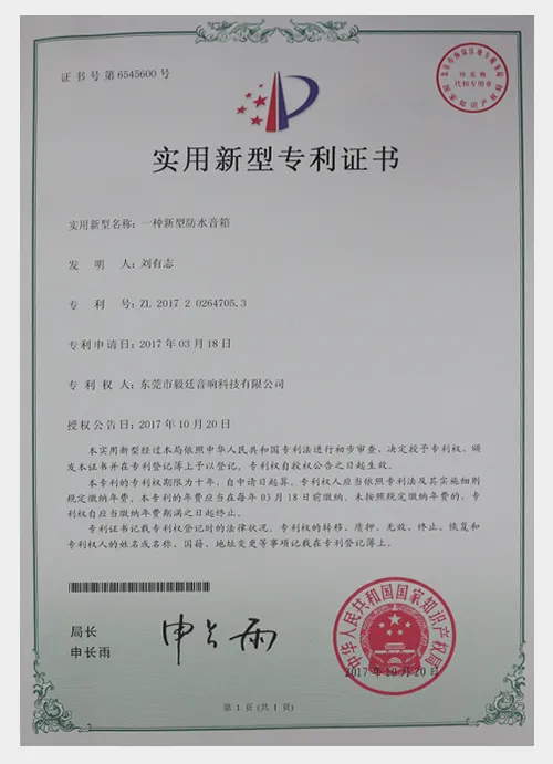 patent