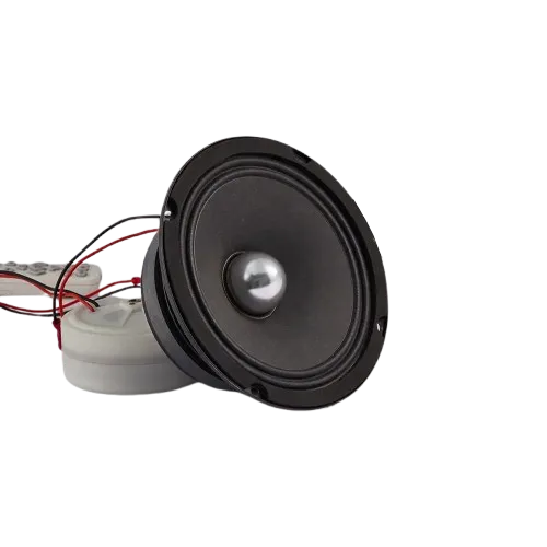 100 Watts 6.5 Inch Midrange Pro Loudspeaker – SEAO